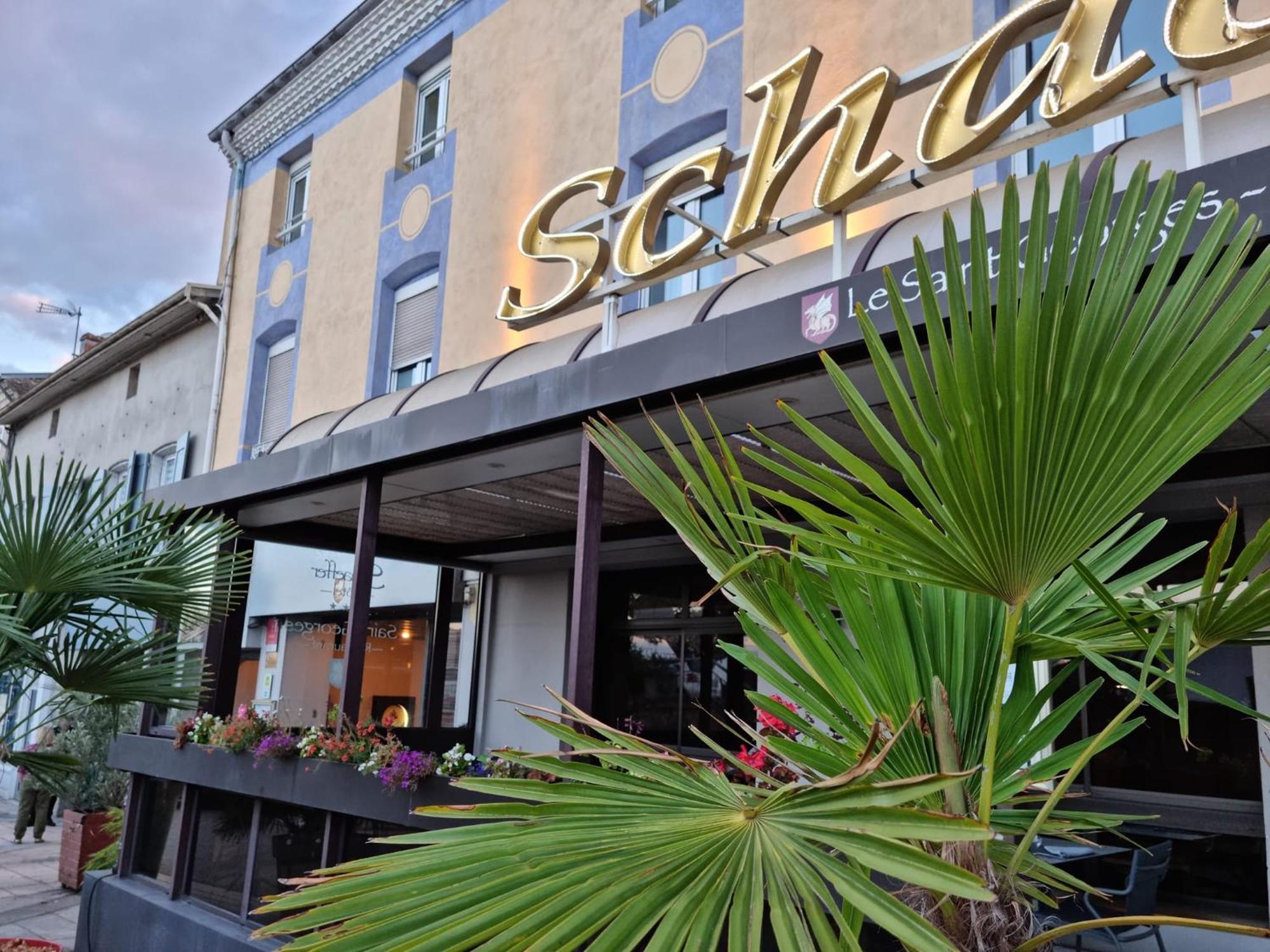 Logis Hotel Schaeffer- Restaurant Le Saint Georges Serrières-en-Chautagne Exterior foto